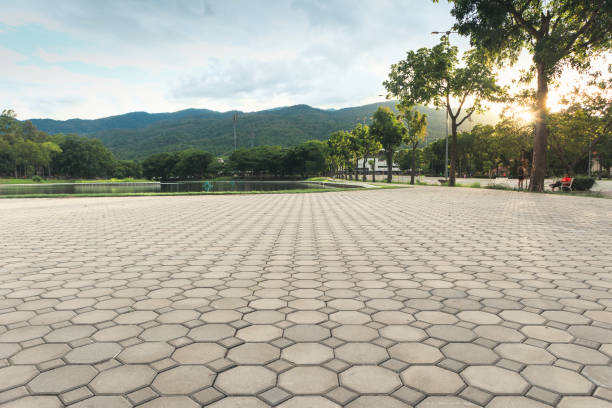 Best Custom Driveway Pavers  in Lakemore, OH